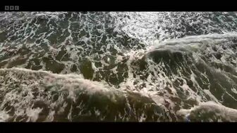 Race Against the Tide Season 01 Episode 01 HDTV X 264 NO GROUP